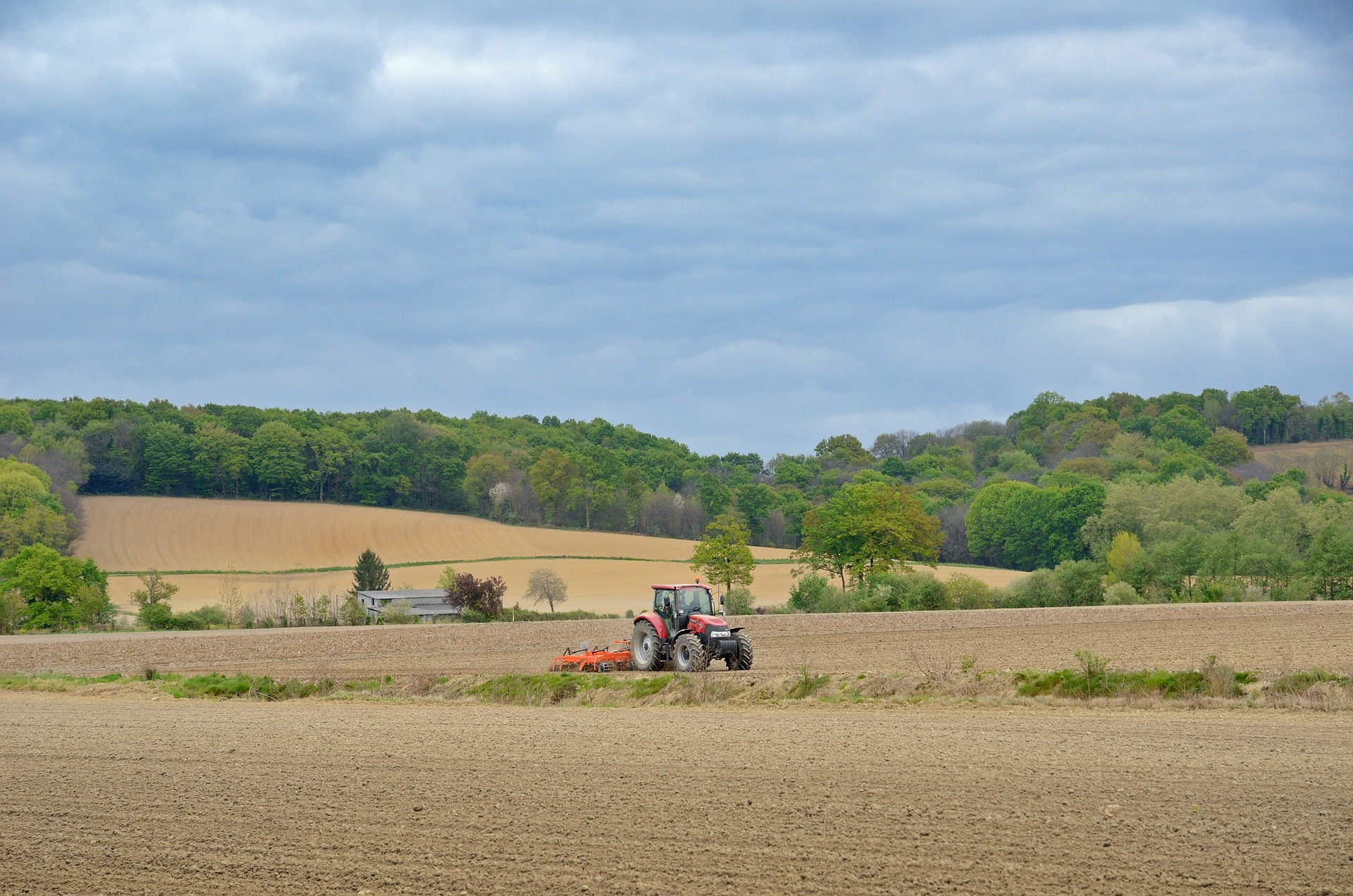 Late Summer – grounding