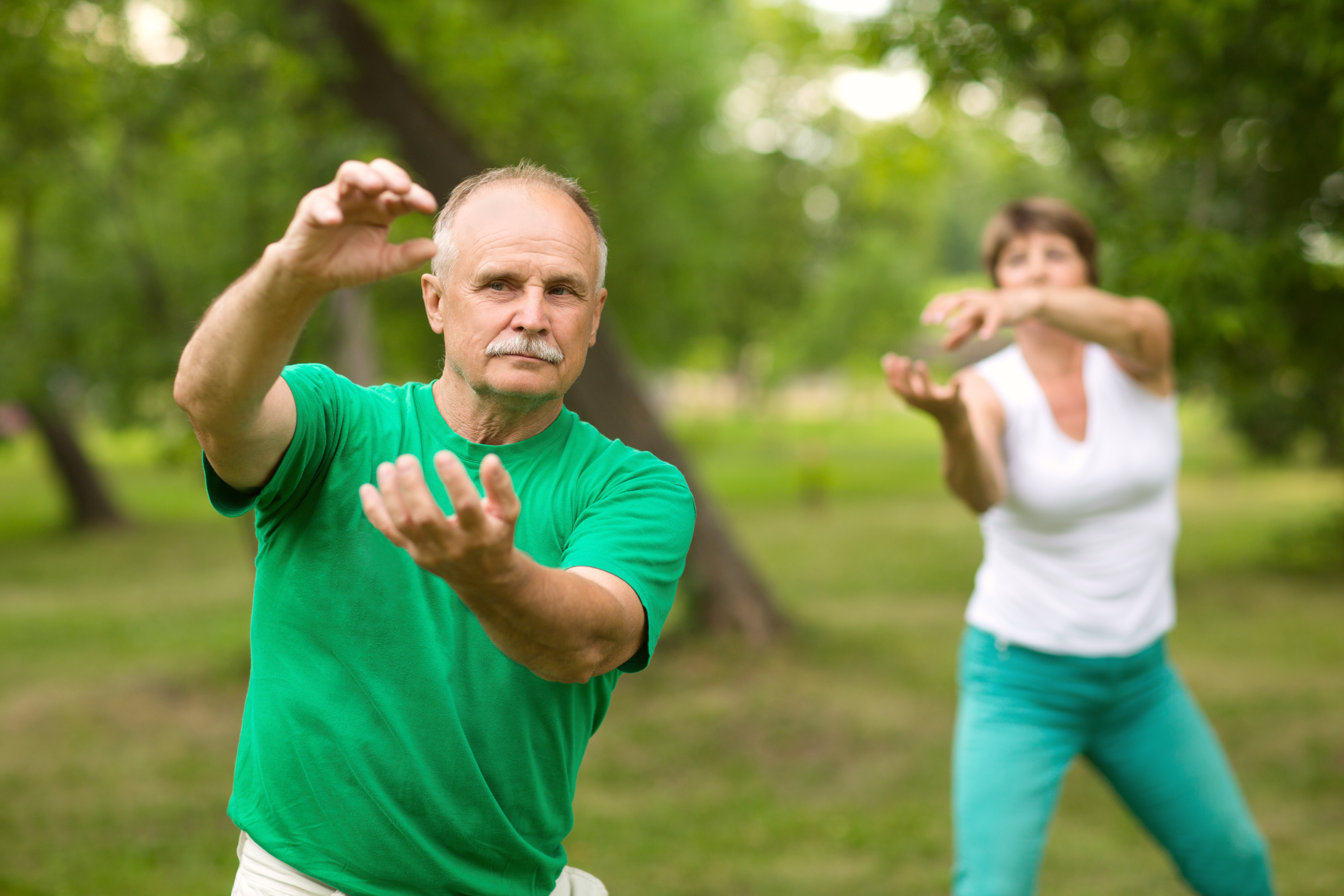 alt ="Tai Chi is often called 'meditation in motion'