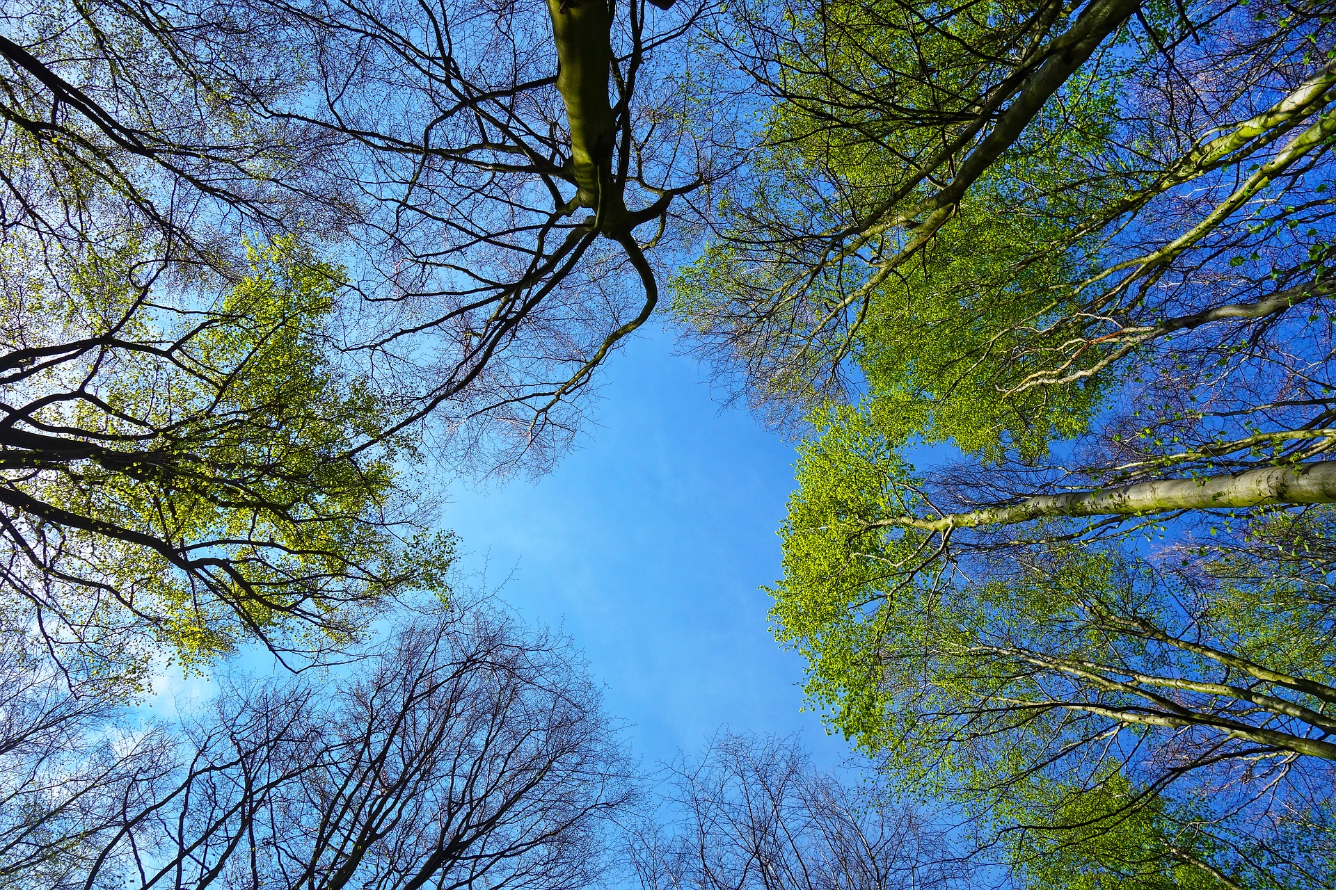 Spring – renewal